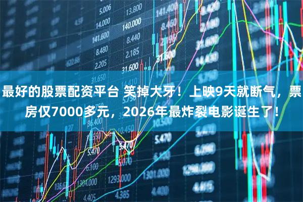 最好的股票配资平台 笑掉大牙！上映9天就断气，票房仅7000多元，2026年最炸裂电影诞生了！